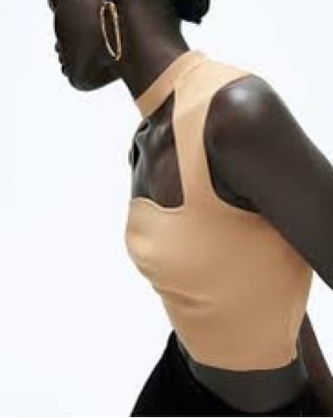 Tan Zara Collar Crop Top - Image 2