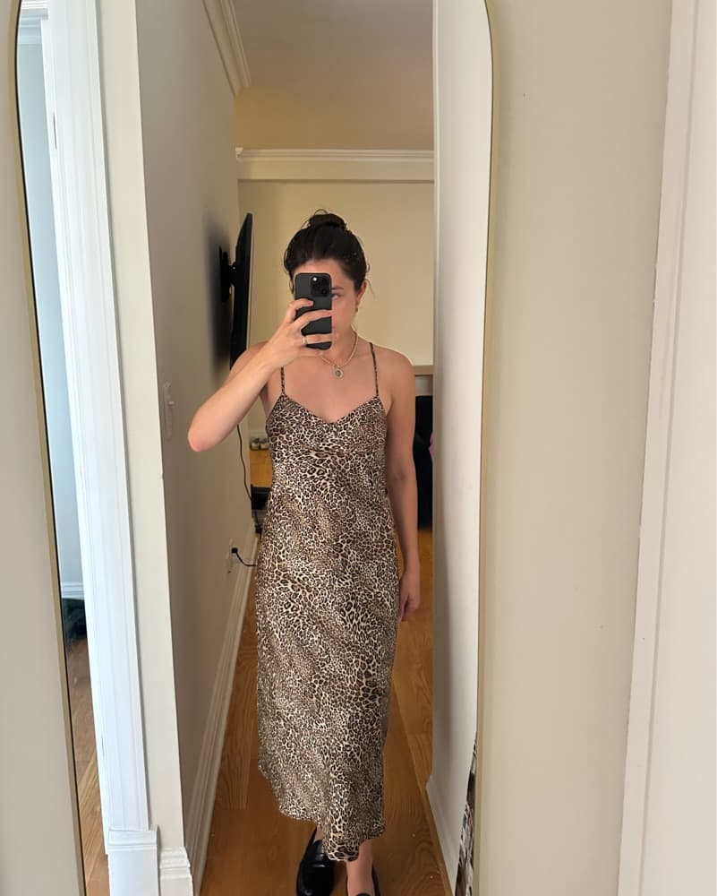 Rouje Diana Dress - Image 2