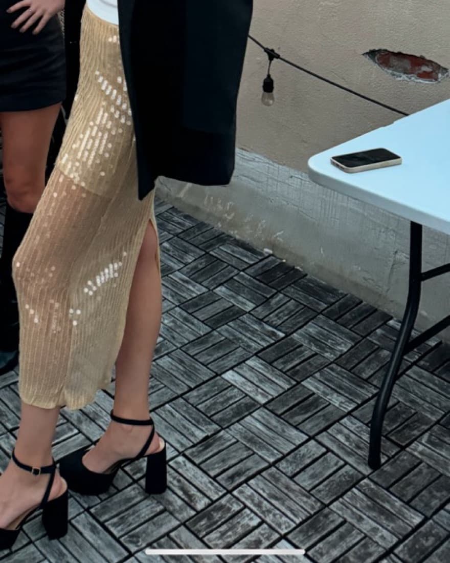 J. Crew Sparkle Skirt - Image 3