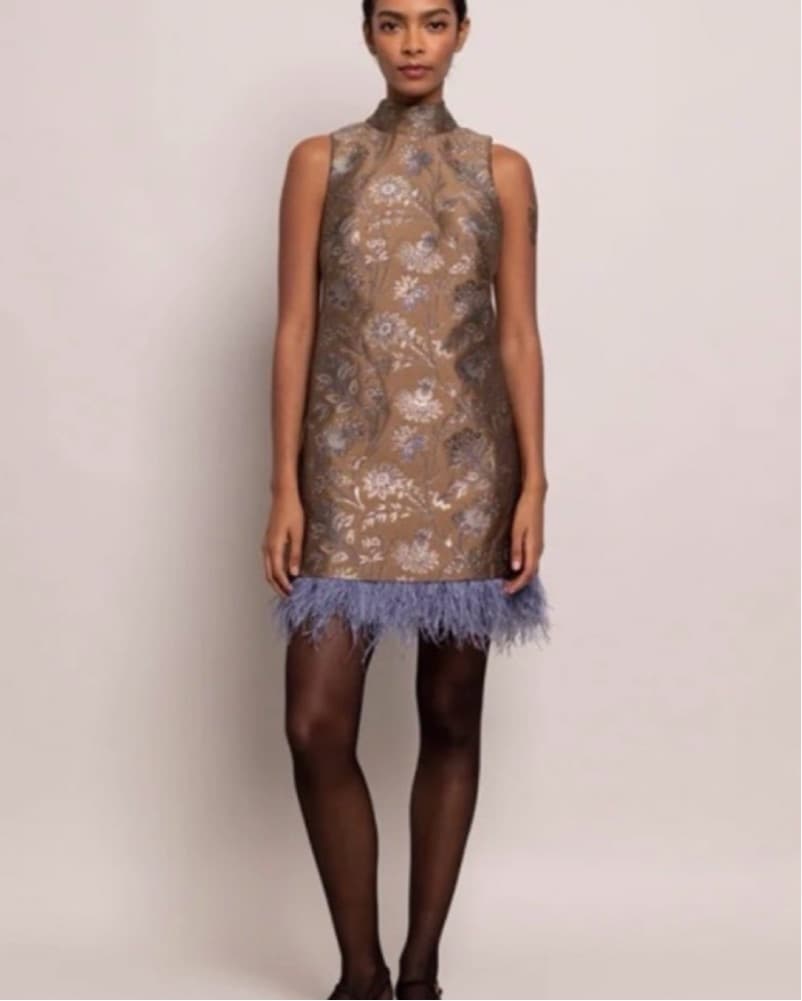 Cara Cara Tay Dress Feathers S - Image 2