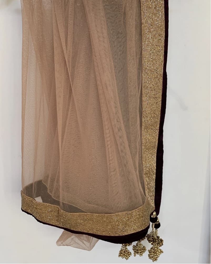 Elegant Embroidered South Asian Lengha - Image 4