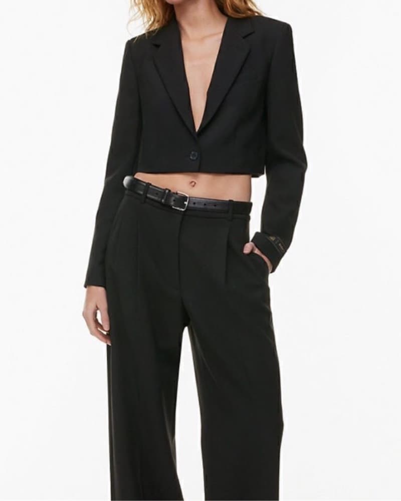 Aritzia Babaton Black Cropped Blazer - Image 4