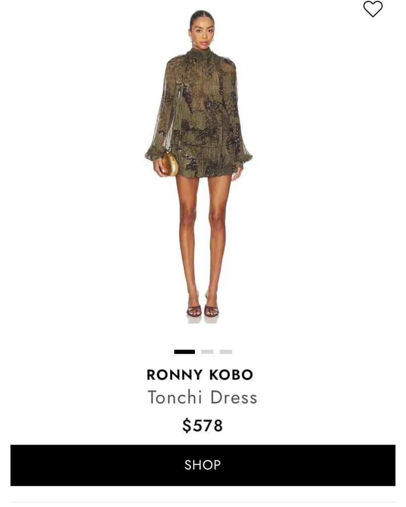 Chic and Alluring Ronny Kobo Tonchi Dress - Image 2