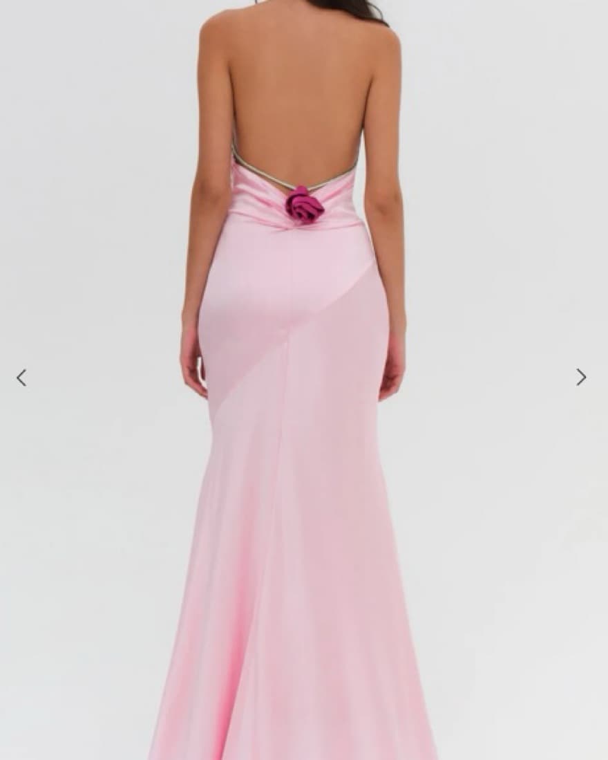 For Love & Lemons Silk Maxi Gown  - Image 3