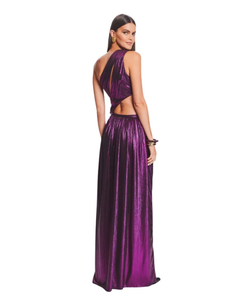 Retrofete Jolene Gown - Image 4