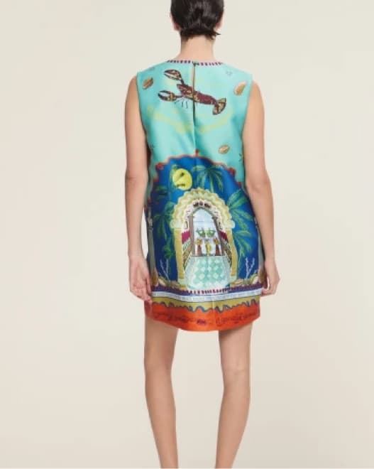 Vibrant Alemais Printed Mini Dress - Image 2