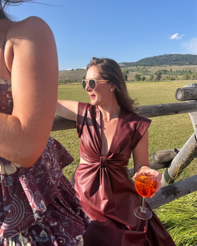 A.L.C. Burgundy Leather Maxi Dress - Image 6