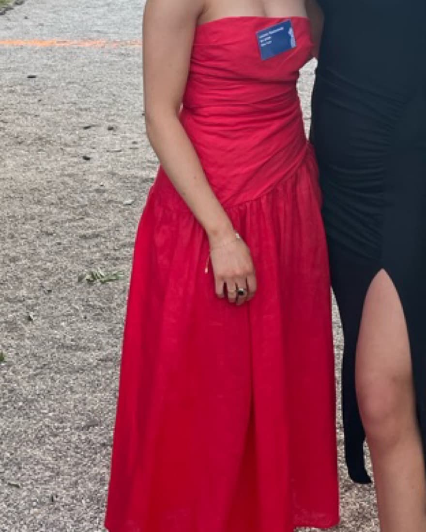 Red Zimmerman Linen Strapless - Image 2