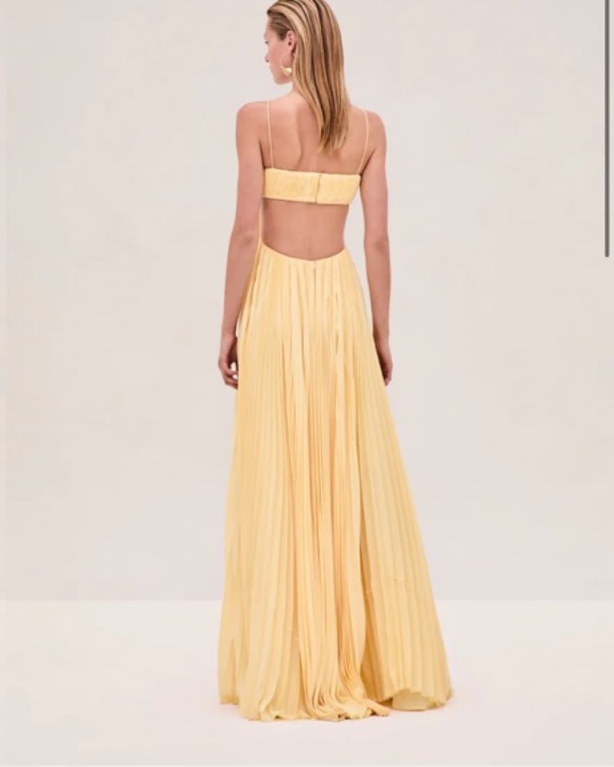 Alexis Varranza Yellow Dress - Image 6