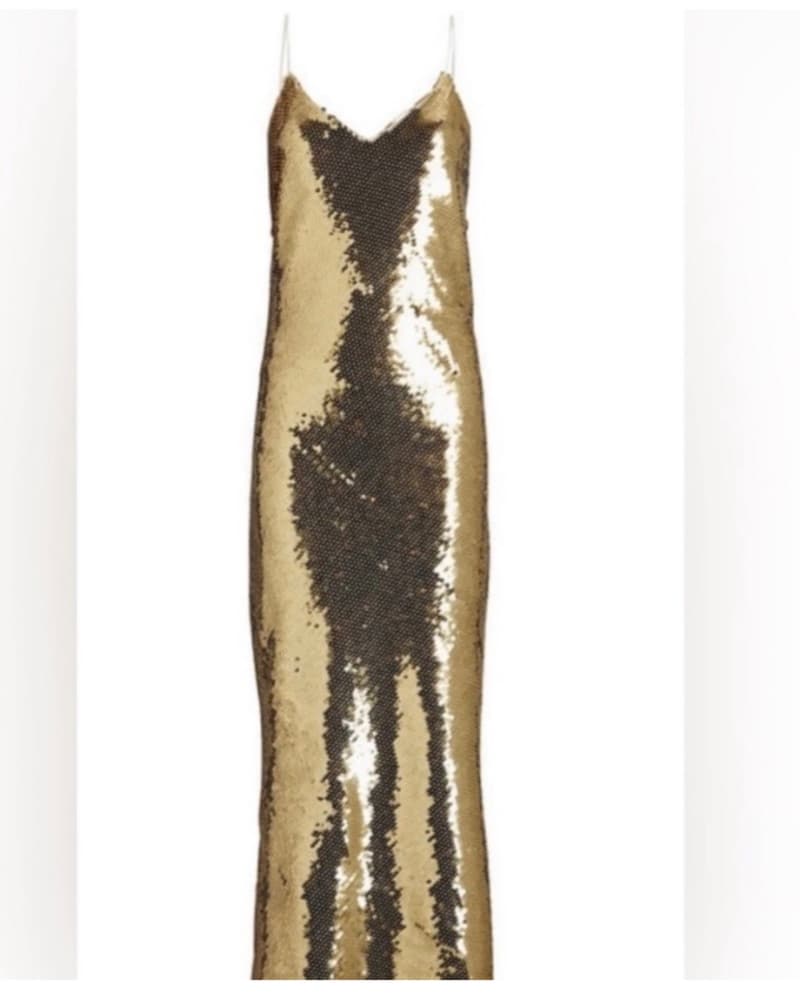 Robby Kobo Sequins Midi  - Image 2