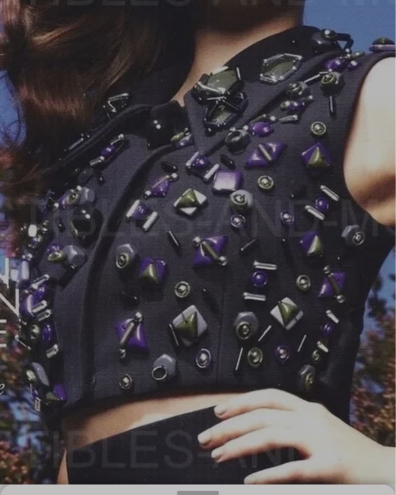 Prada 1/1 Runway Piece Vest  - Image 3