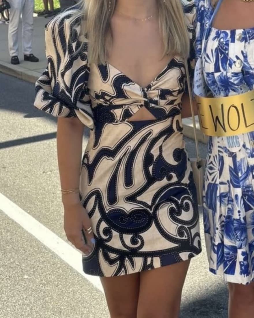 Navy And White Alexis Dress - Image 2