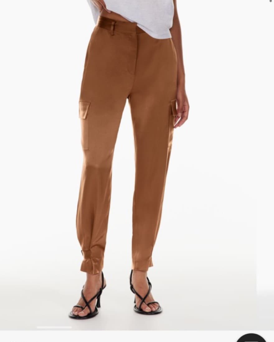 Aritzia Babaton Refined Cargo Pants - Image 1