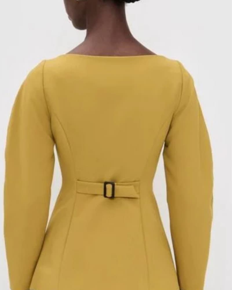 Aligne Artemis Blazer In Mustard - Image 2