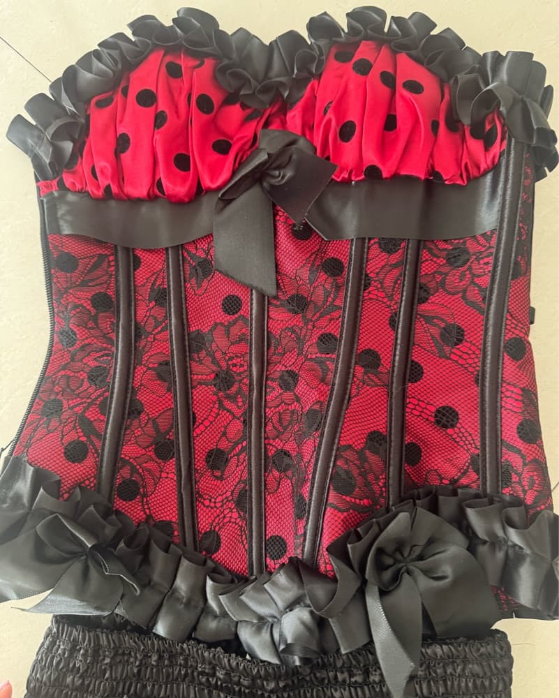 Ladybug Costume - Image 1