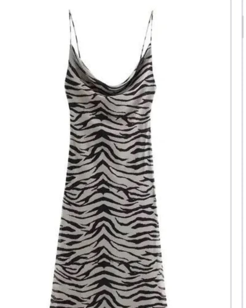 Zebra Print Maxi Dress - Image 2