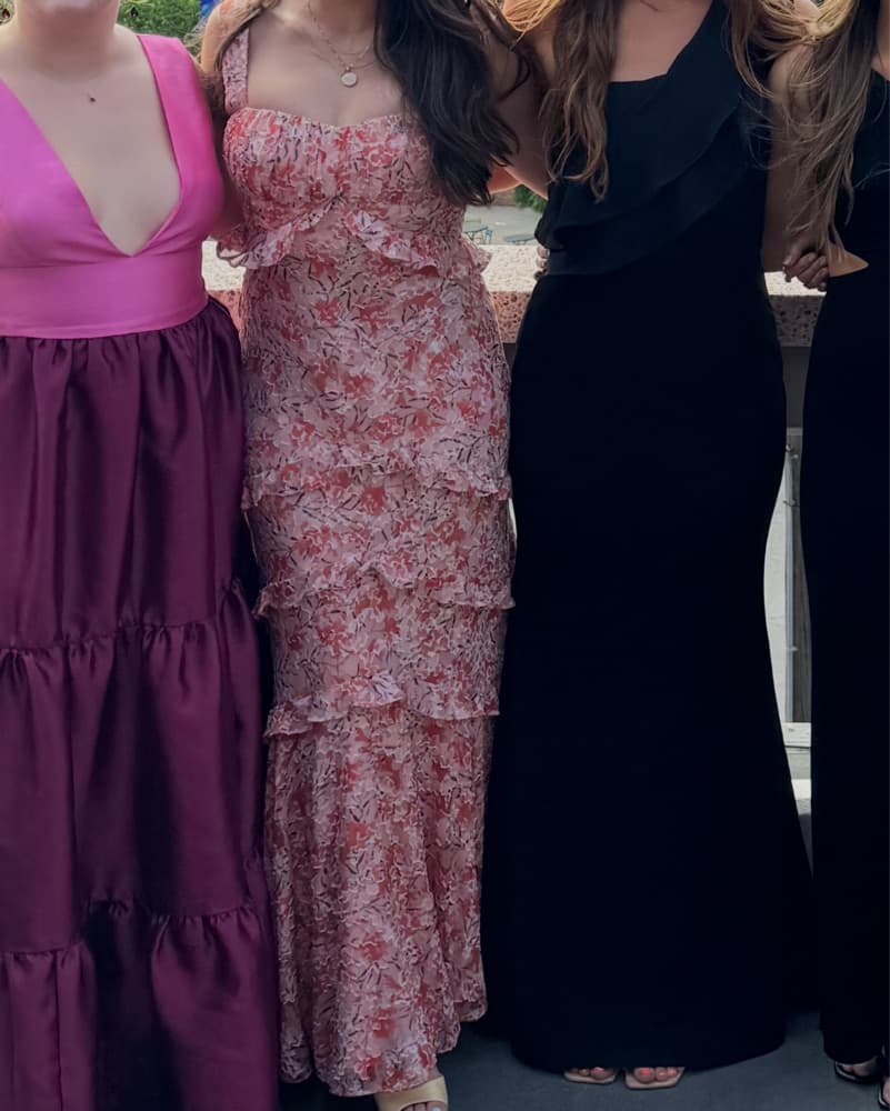 Saloni Chandra Dress  - Image 6