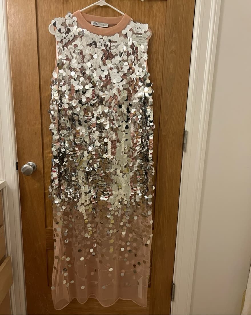 Zara Sequin Knit Dress - Image 4