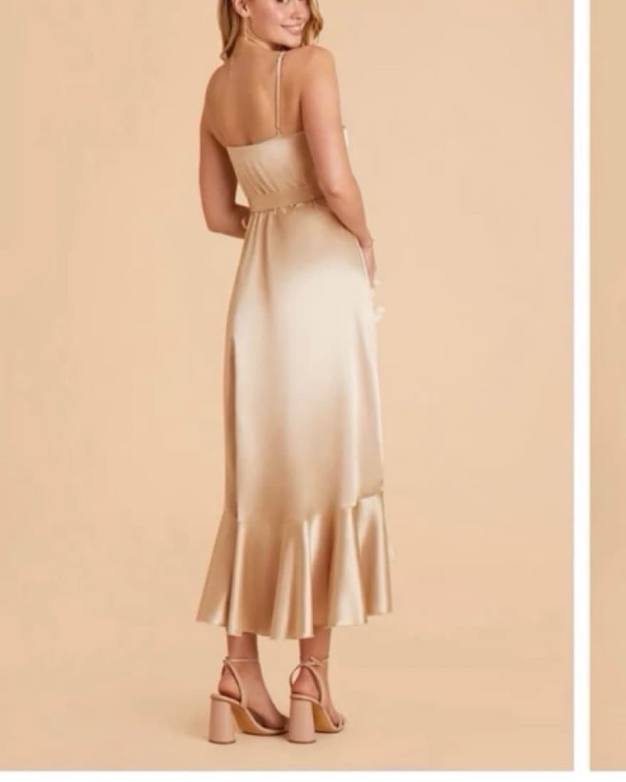 Birdy Grey Satin Gold Dress - Image 5