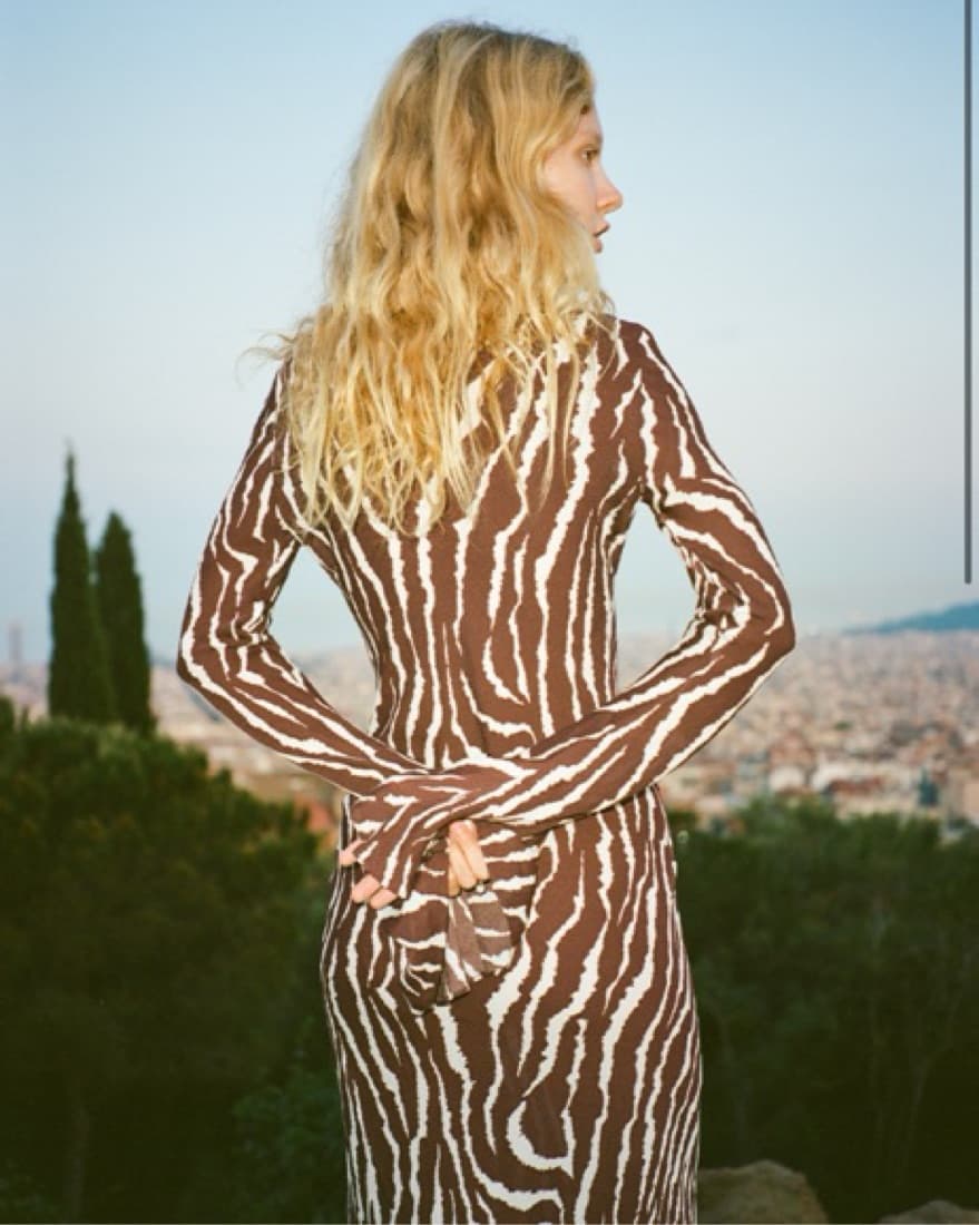 Gia Dress In Animal - Image 3
