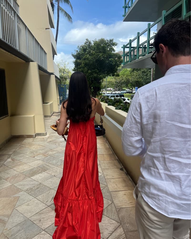 Red staud dress - Image 1