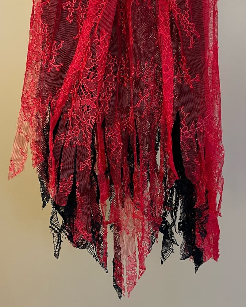 Alexandra Sipa Fringe Lace Dress - Image 5
