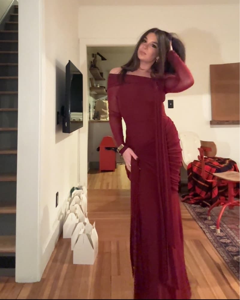 Heloise Dress in Burgundy - Image 3