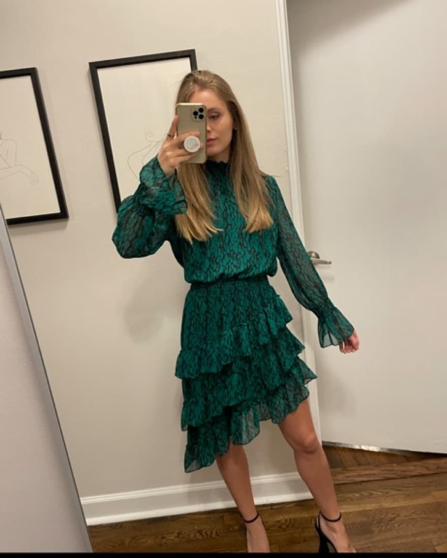 Misa Los Angeles X Revolve Savanna Dress - Image 3