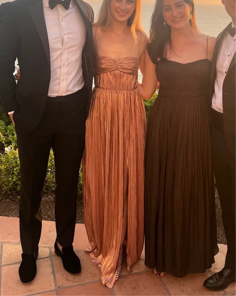 Lovers And Friends Emmy Gown  - Image 3