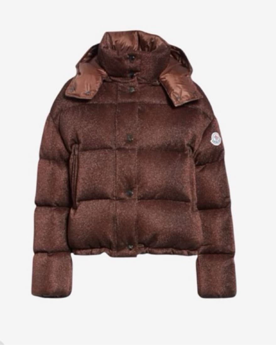 NYFW Moncler Ski Coat - Bronze Glitter  - Image 1