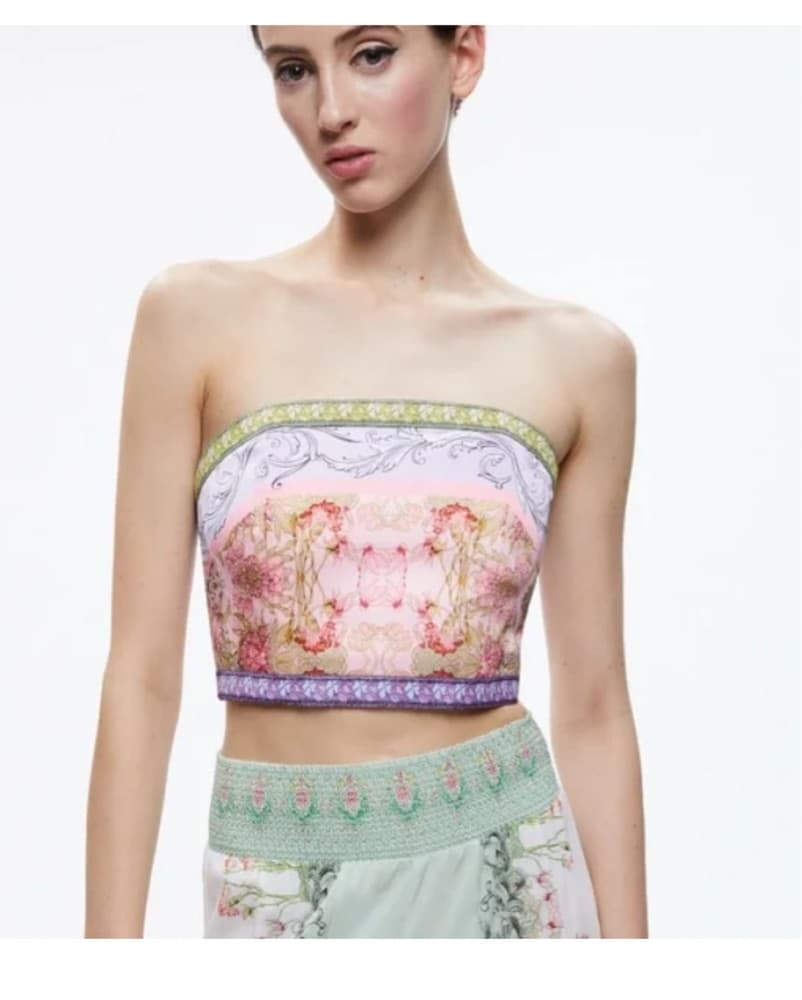 Alice & Olivia Skirt Tube Top Set - Image 5