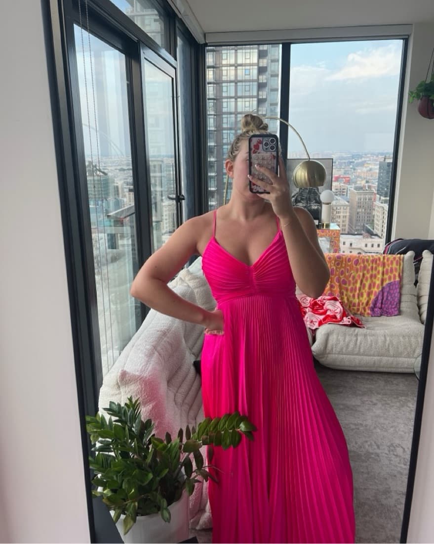ALC Pink Gown - Image 1