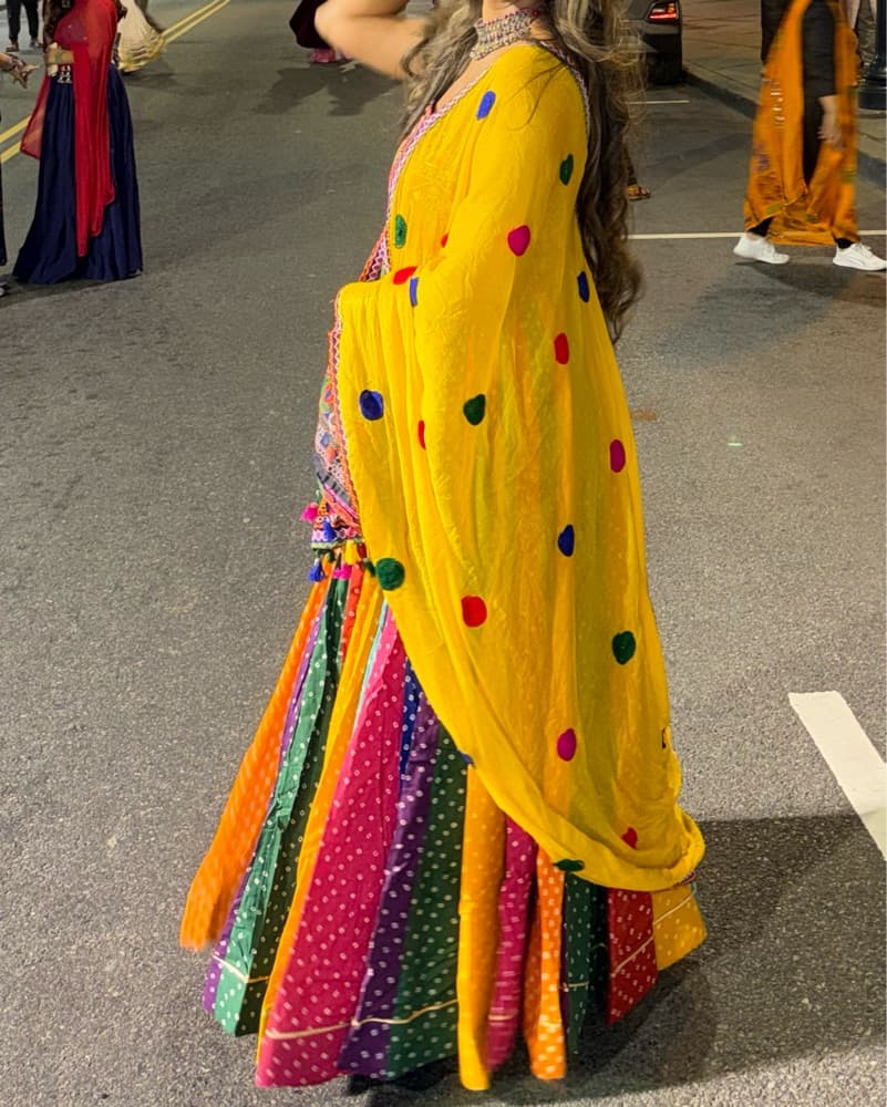 Indian Chaniya Choli Traditional Dress - Image 4