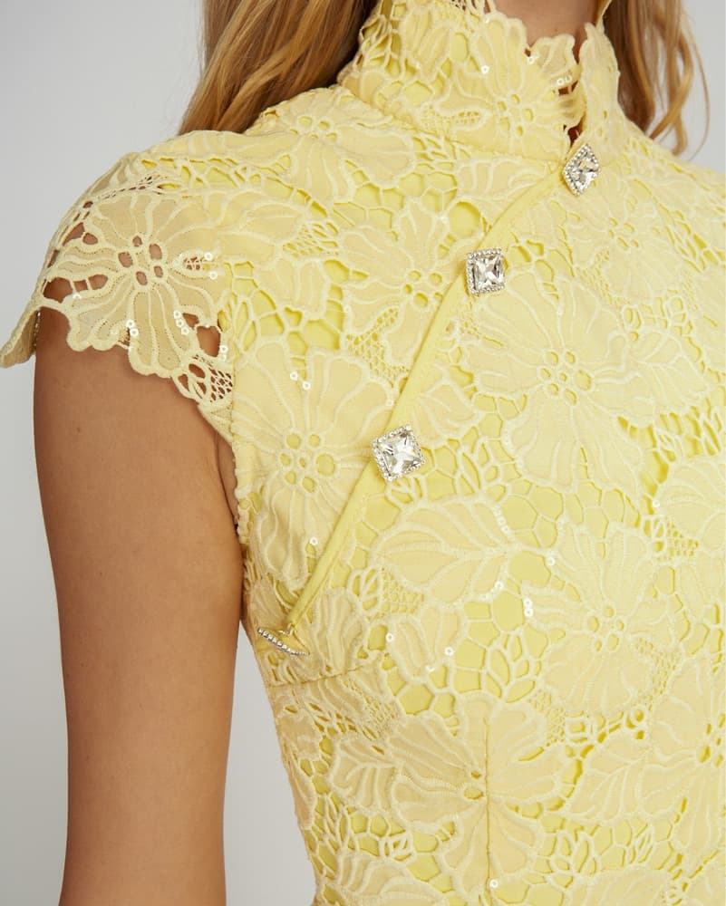 Sau Lee Rae Lace Overlay Sheer Dress - Image 3
