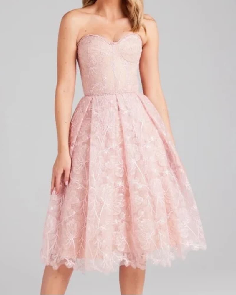 Nadine Merabi Olivia Blush Dress - Image 2