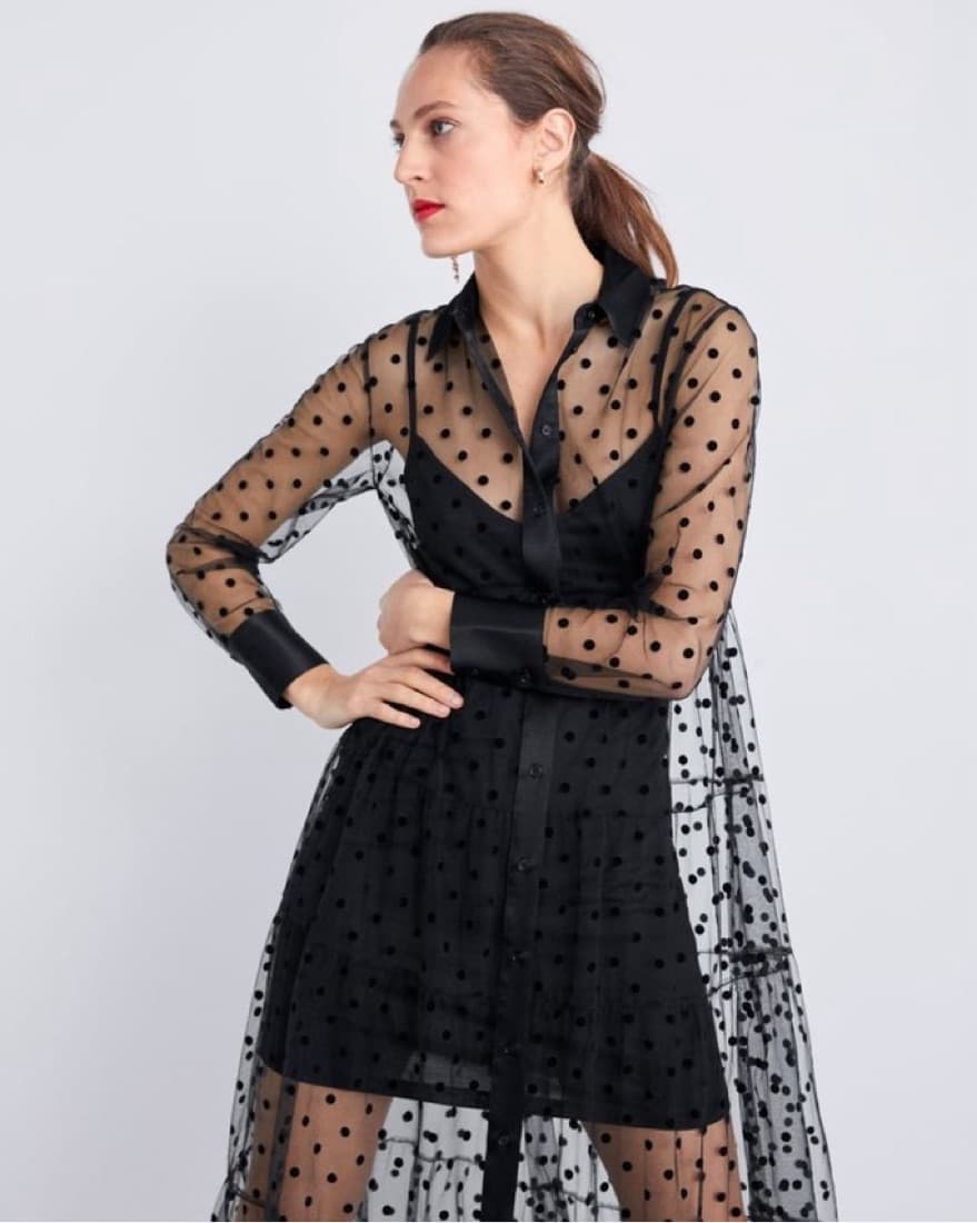 Zara Polka Dot Sheer Dress - Image 2
