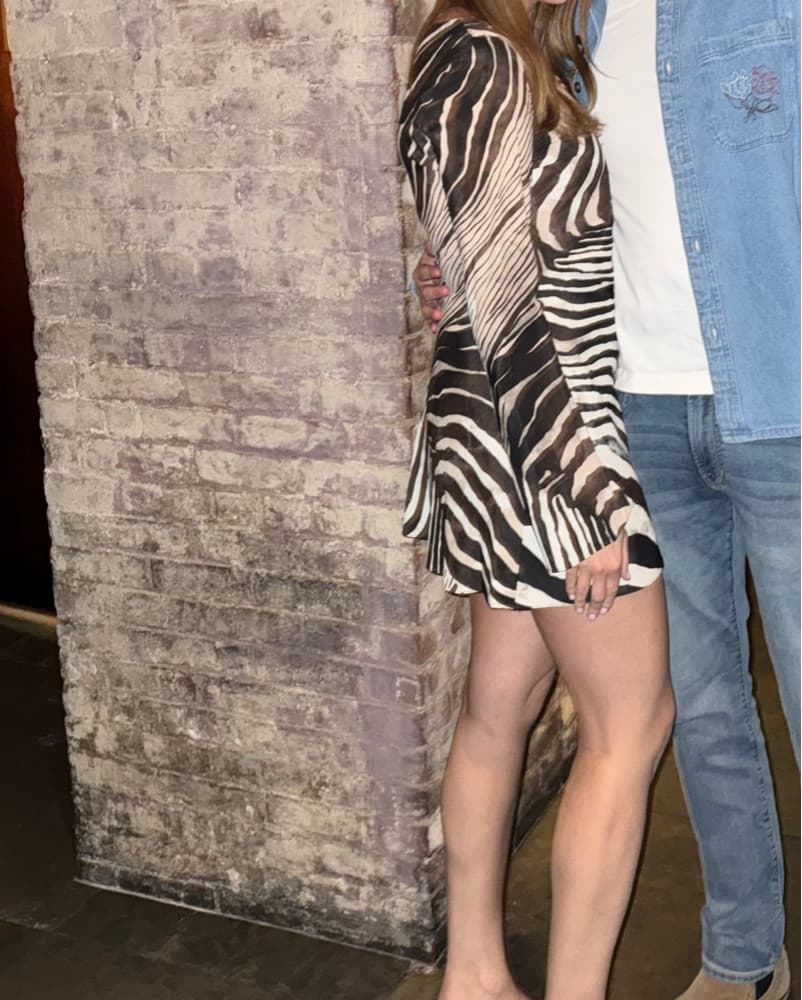 Mango Zebra Print Dress - Image 1