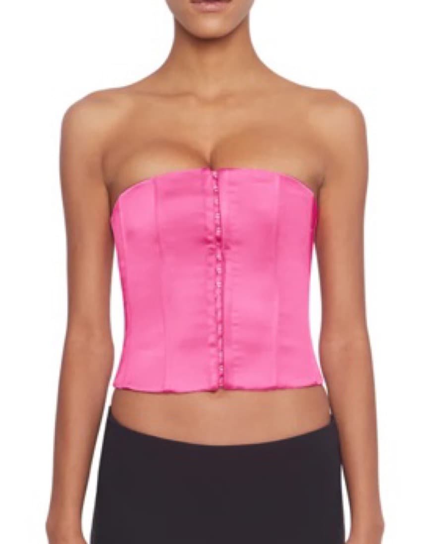 Danielle Guizio Pink Corset - Image 1