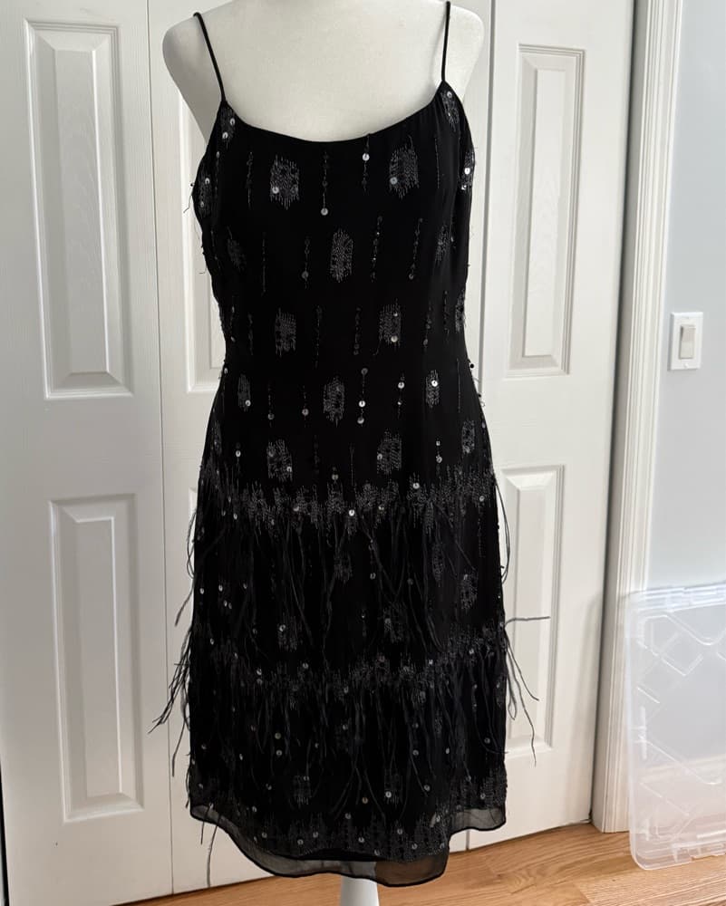 Beautiful Dress With Sequin And Feather - Image 1