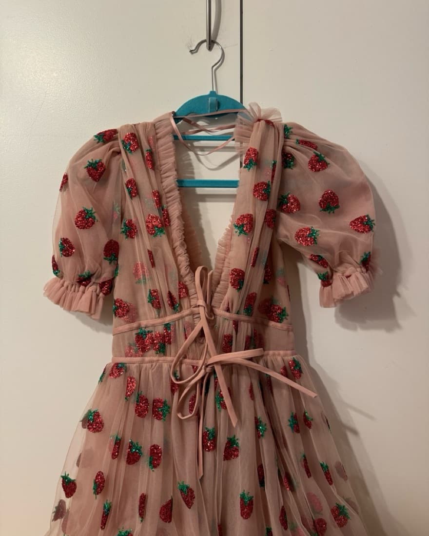 Cottage Core Strawberry Shortcake Dress - Image 4