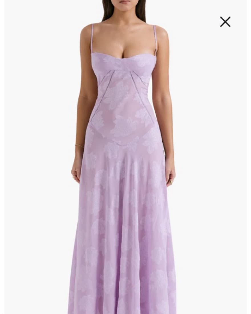 Seren blush Sheer Lace Up Gown  - Image 2