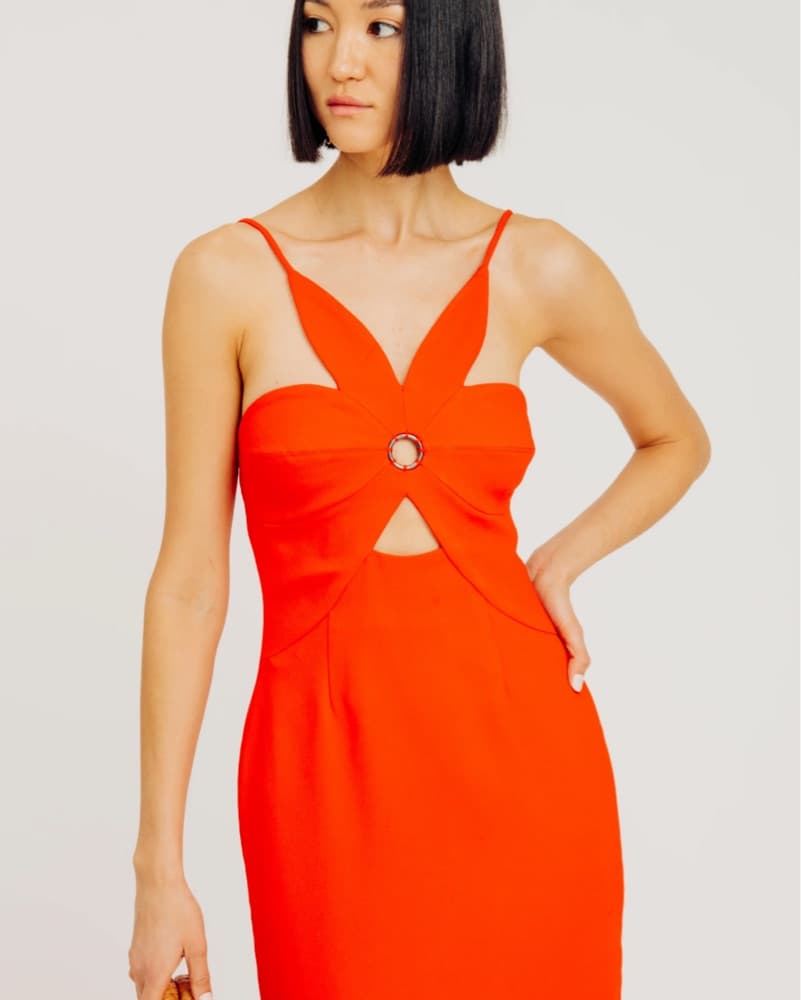 Crimson Anna Dress, Torn By Ronny Kobo - Image 3