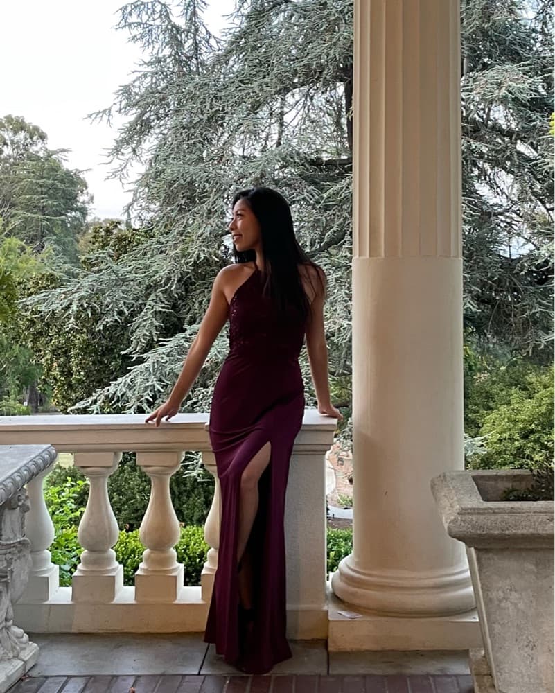 Alluring Burgundy Sequin Gown - Image 4