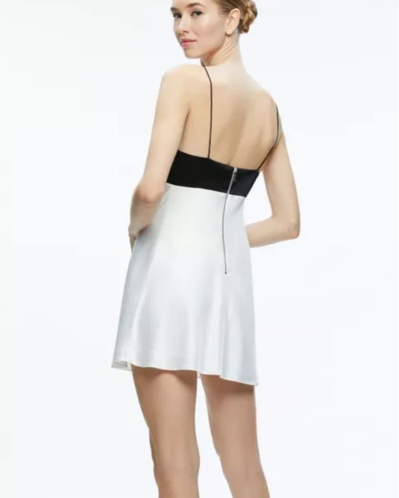 Alice And Olivia Mini Dress - Image 2