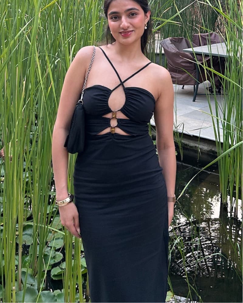 Zara Long Maxi Dress  - Image 1