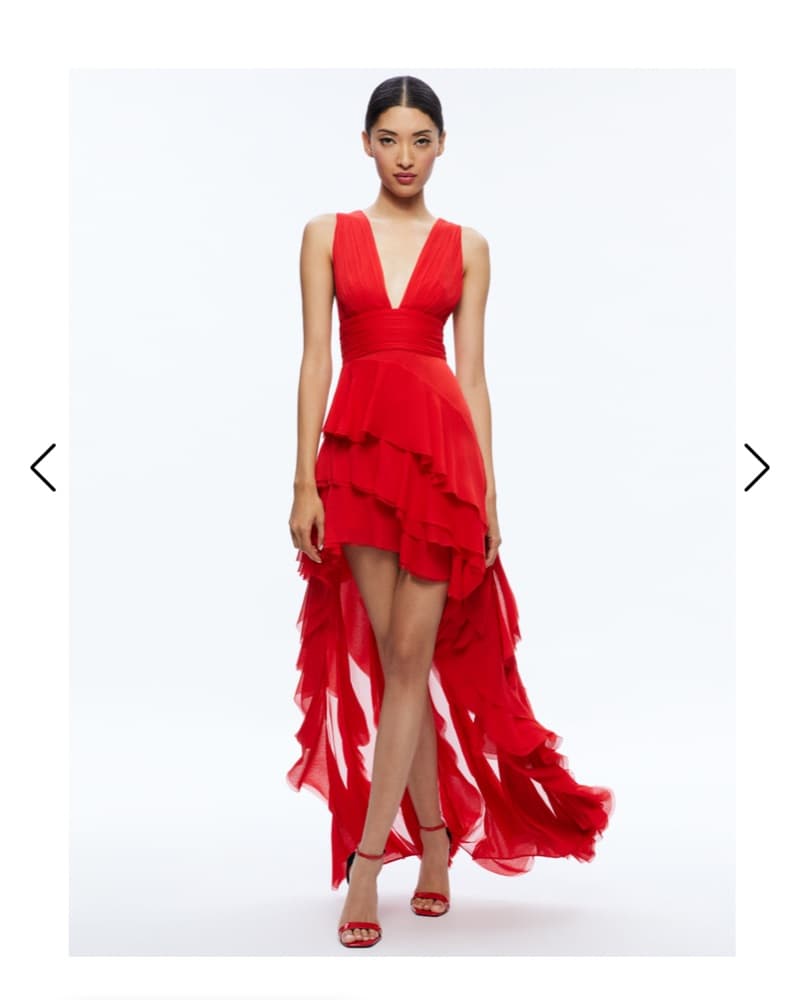Alice + Olivia Red Ruffle Maxi Dress - Image 1