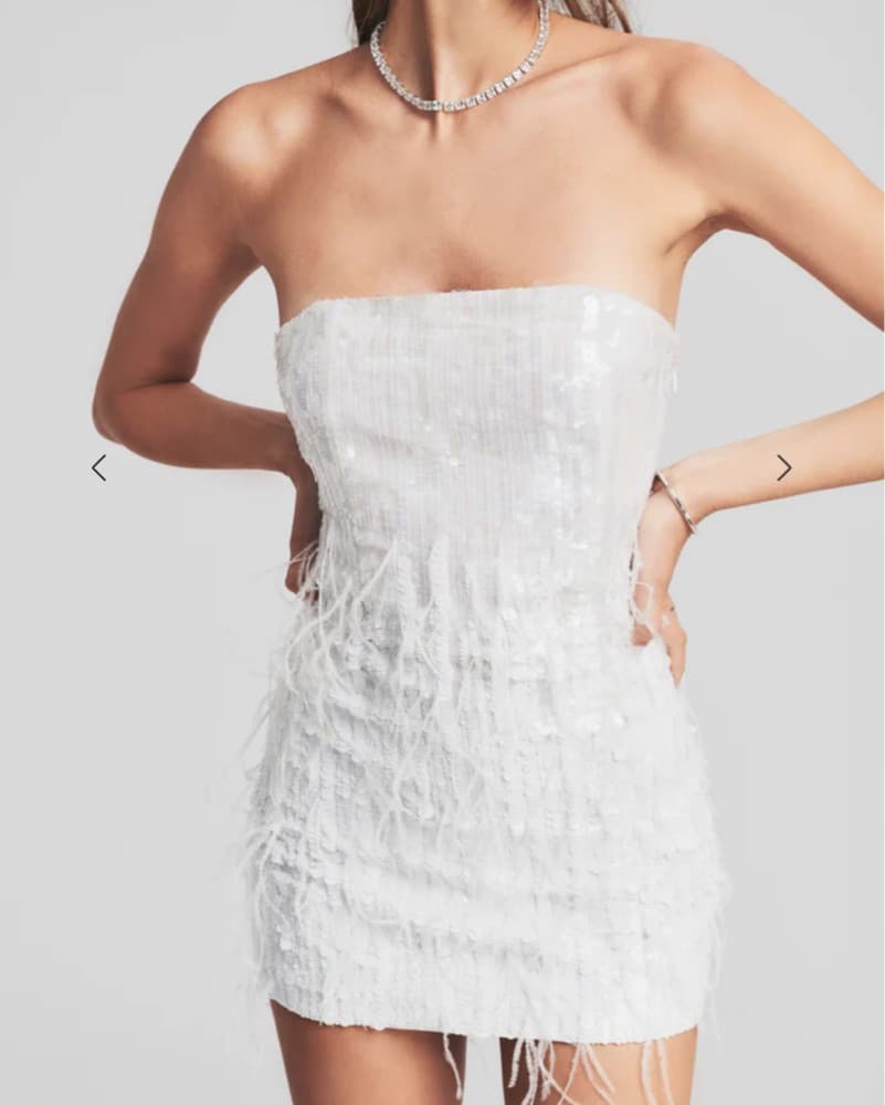 Retrofete Anastasia Sequin Feather Dress - Image 2