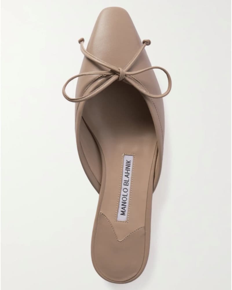 Manolo Blahnik Ballerimu leather point-t - Image 1
