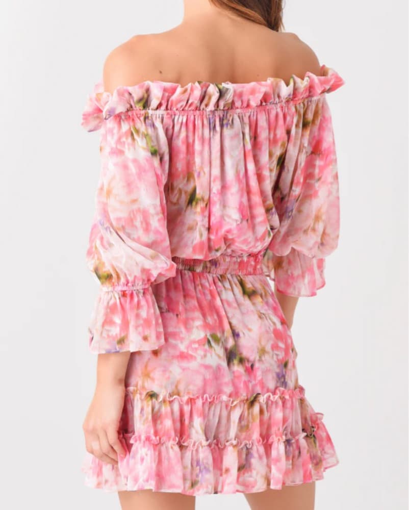 MISA Women’s Danae Dress - Image 4