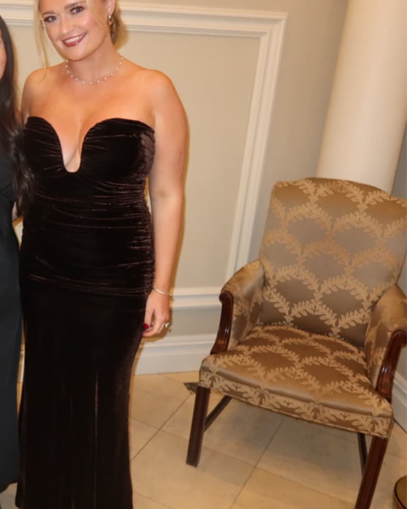 Bardot elvira Velvet gown - Image 3